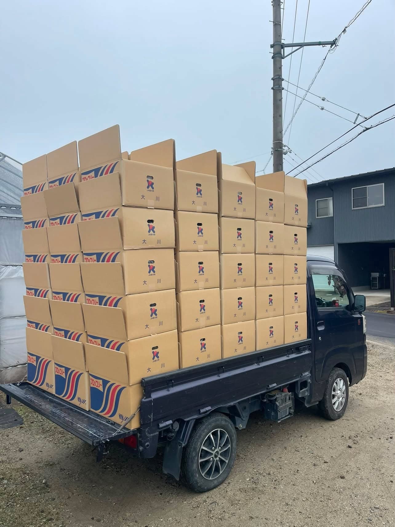 出荷用の段ボール箱を高く積んだ軽トラック