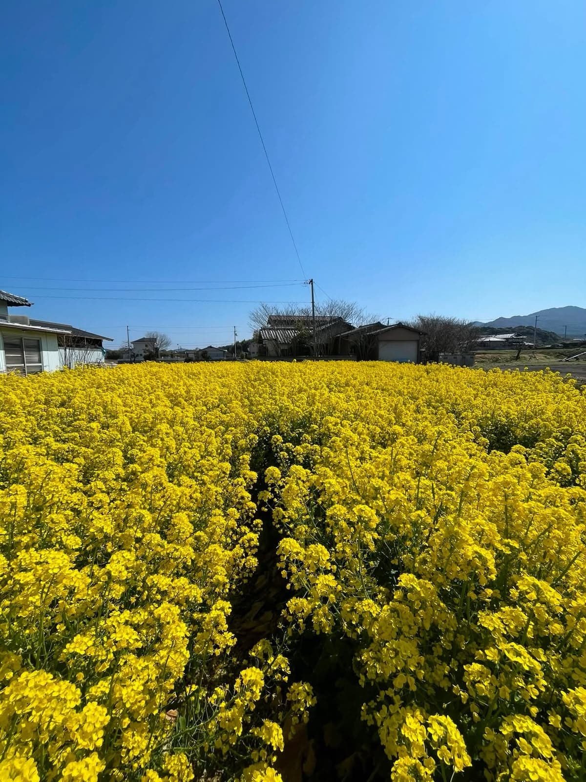 季節とともにまわる畑