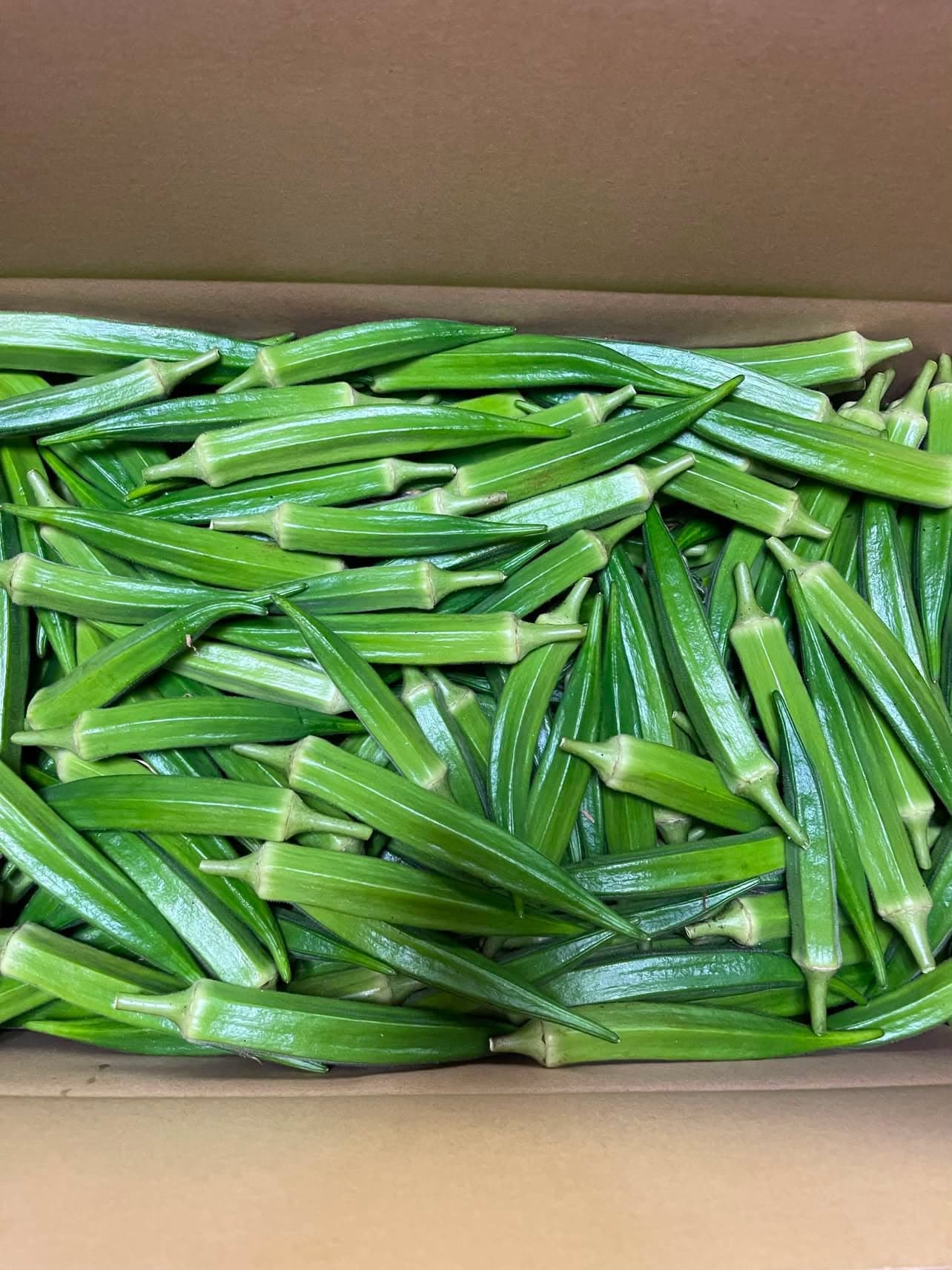 オクラ 量り売り(1kg)
